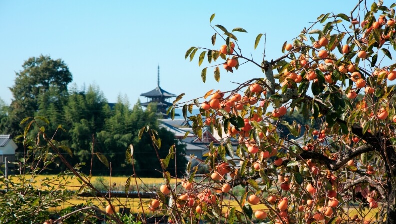 ユネスコ世界遺産法隆寺