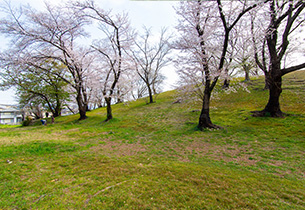 新緑の古室山古墳
